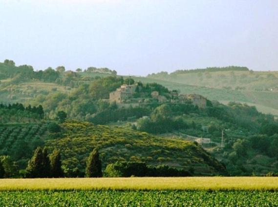 Pensjonat Castel D'Arno Perugia Zewnętrze zdjęcie